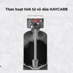 Than hoạt tính HAYCARB cao cấp loại bỏ clo dư hiệu quả