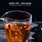Nước lọc NF từ máy lọc nước NC-9 giúp pha trà ngon